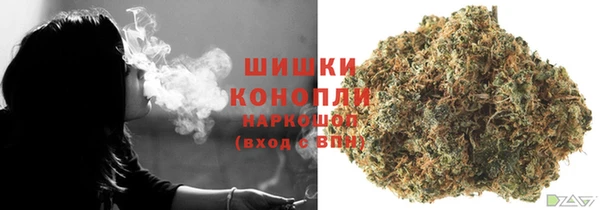 ECSTASY Богородск