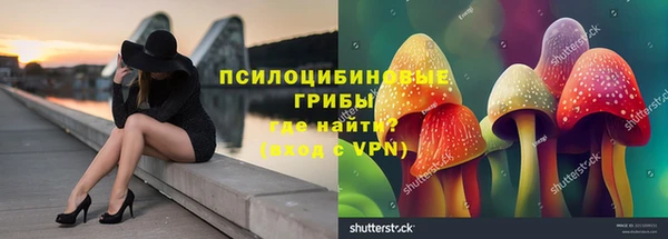 ECSTASY Богородск