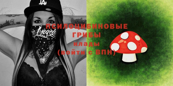 прущая мука Богородицк