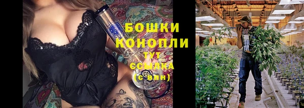 ECSTASY Богородск