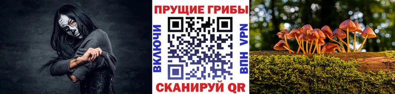 Псилоцибиновые грибы Cubensis  Котово 