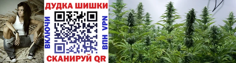 Конопля Ganja  цены   Котово 